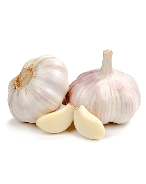 garlic-img1