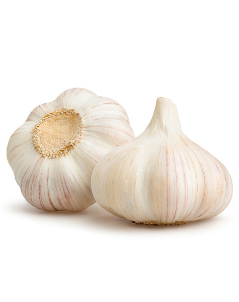 garlic-img2