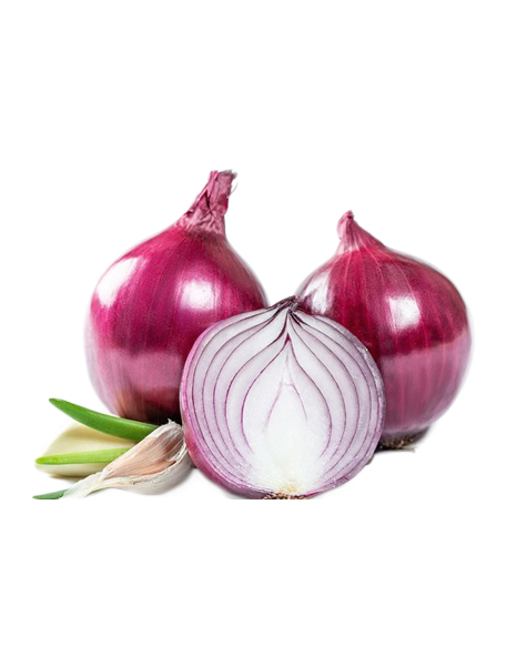 onion-img1