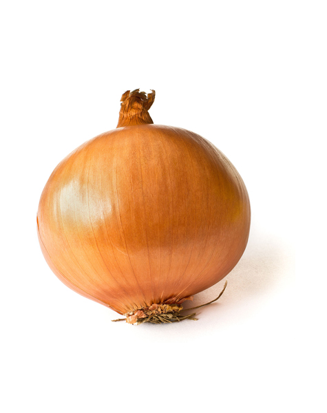 onion-img2