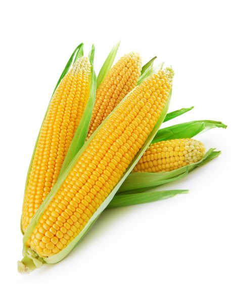 corn