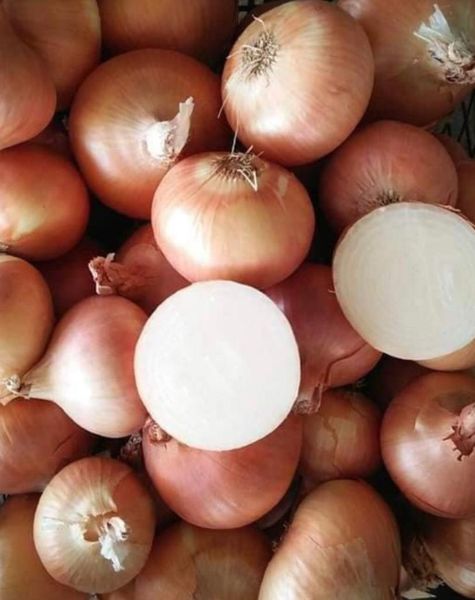 YellowOnions (2)