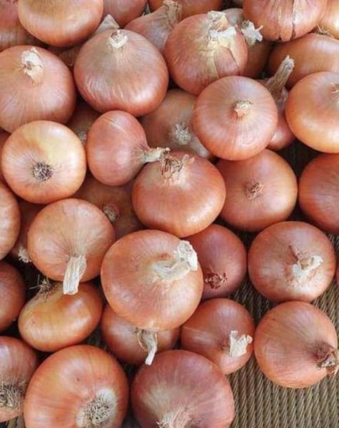 YellowOnions (6)